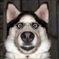 Entertainment Station