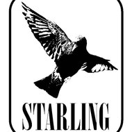 Starling Media