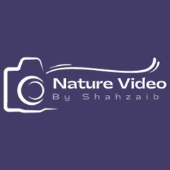 Best Nature Video