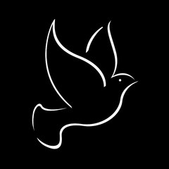 Black Bird Rewind