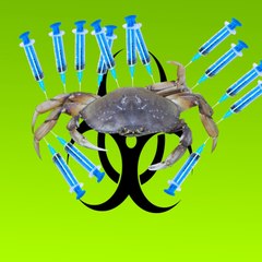 poisoncrab Productions