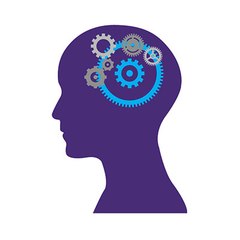 Piracetam.Net