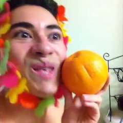 Loxexiji Vine