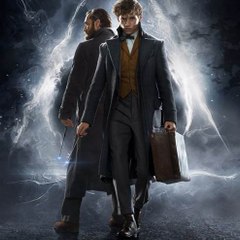 Fantastic Beasts The Crimes of Grindelwald 2018Sub
