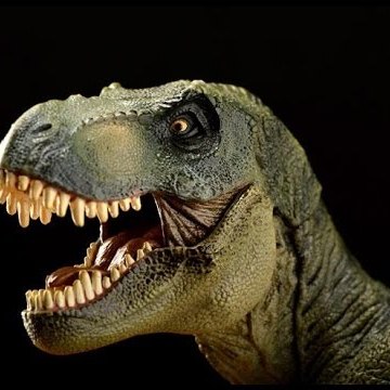 Biography Channel Most Biggest