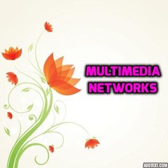Multimedia Networks