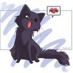 Lovely-Kitty