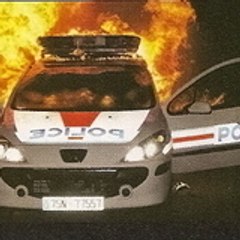 vive l'algerie en force