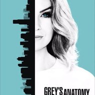 Grey's Anatomy Seasons 14 Streaming