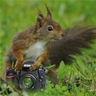 Michel Garnier Chasseur d'images