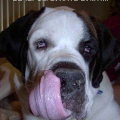 Примаченко Александр