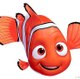 Aquarium Life