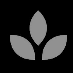 jeqydiq