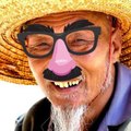 PnoGato