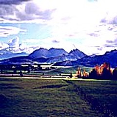 margaretnancy3716