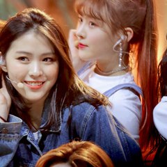 Shin Ryujin Updates
