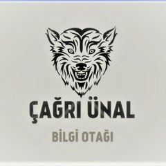 Çağrı Unal