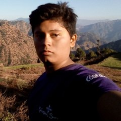 Himanshu Negi