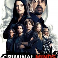 Criminal Minds ★Season 13★ Online Megavideo