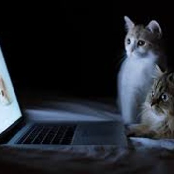 Onlinevideoalert