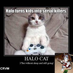 Scrapywar - Software Developer