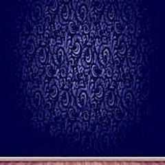 stevenerin5841