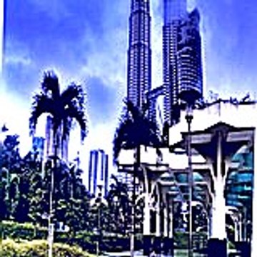 derekrobert5426