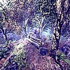 noahalbert7886