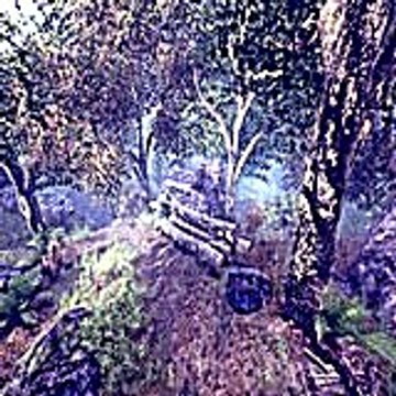noahalbert7886