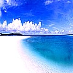 marvinshirley2407