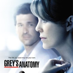 Grey's Anatomy Season 14 (Online Full)