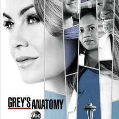 *Promo* Grey's Anatomy Season 14 [Online Full]