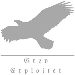 GreyExploiter