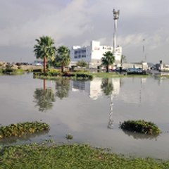 Telecom Maraz