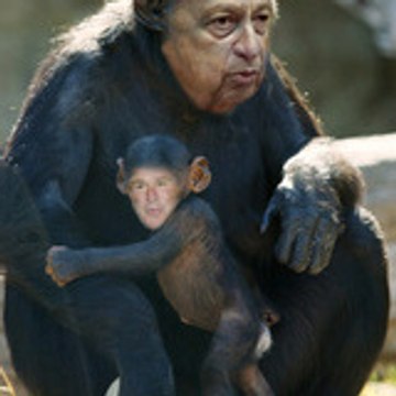 mouch normal