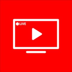 Live stream 毎日