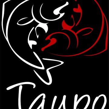 New Zealand Trout Fishing Adventures