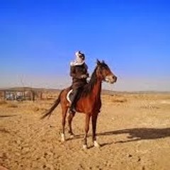 (سالم بن ظفر  (جريح الفرقا