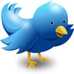 BLUE BIRD BREAKING