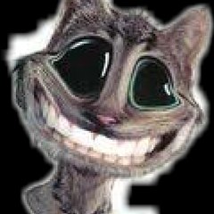 Komik kısa videolar