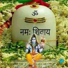 Bhakti and Funny videos