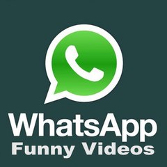 whatsapp videos