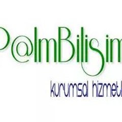 Palm Bilişim Kurumsal hizmetler