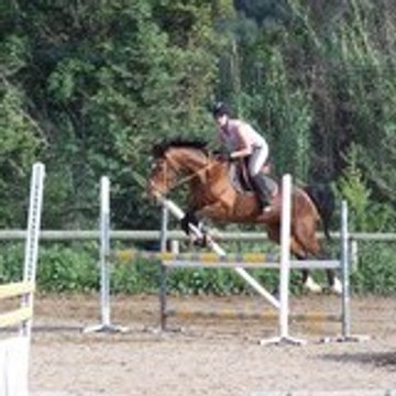 tifox03