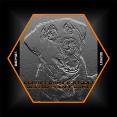 Gunner Gaming Studio