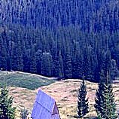 eugeneann5471