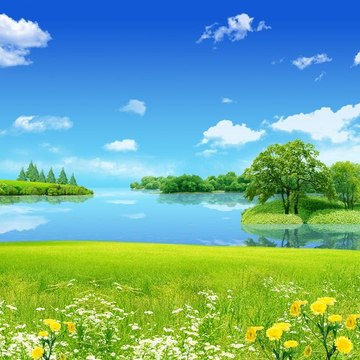 La nature est belle