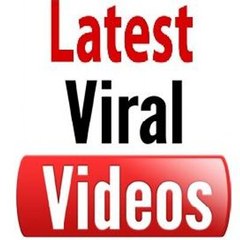 Best Viral Videos