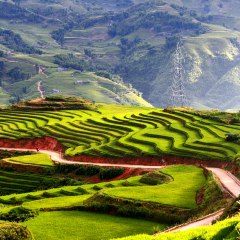 HMONG MOVIE ONLINE
