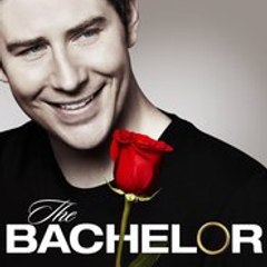 The Bachelor SEASON (22)